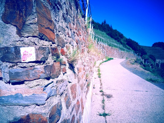 Wanderzeichen rote Trauben links, rechts der Rotweinwanderweg